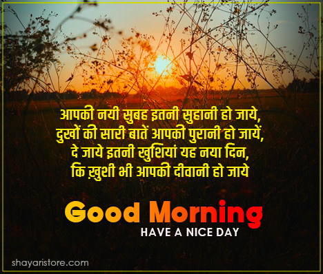 Beautiful Good Morning Shayari in Hindi | गुड मॉर्निंग शायरी 2023 6 good morning shayari