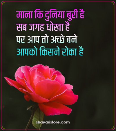 Best Suvichar in Hindi | हिंदी सुविचार | Hindi Quotes 2023 14 Suvichar